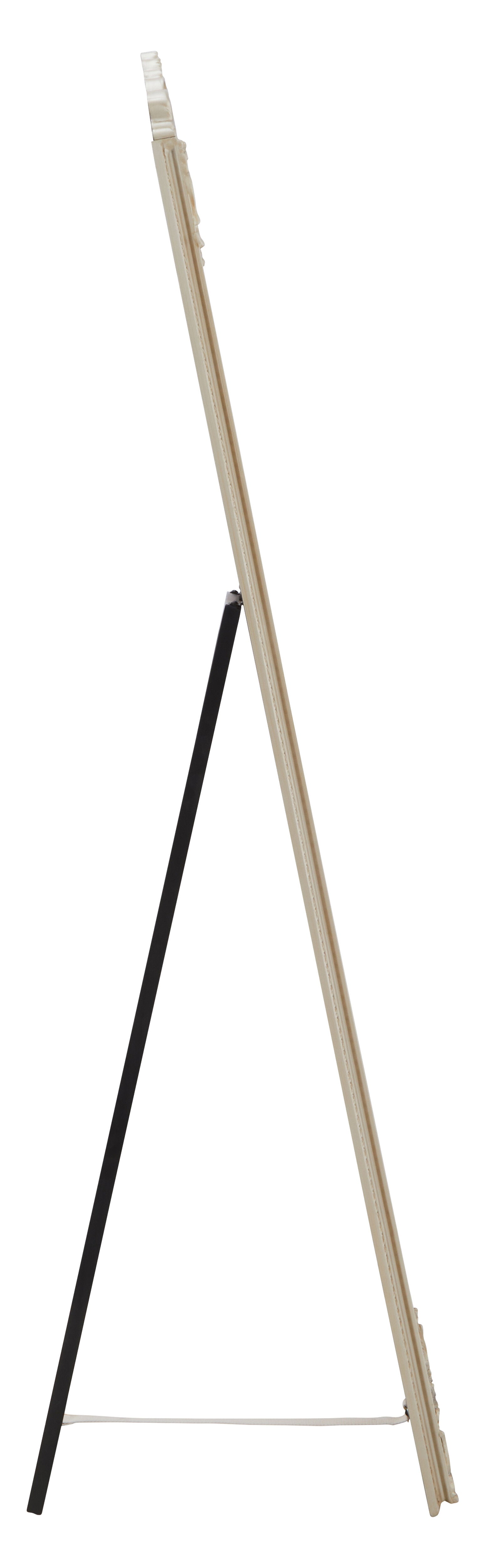 Ardela & Co Langford Champagne Floor Mirror