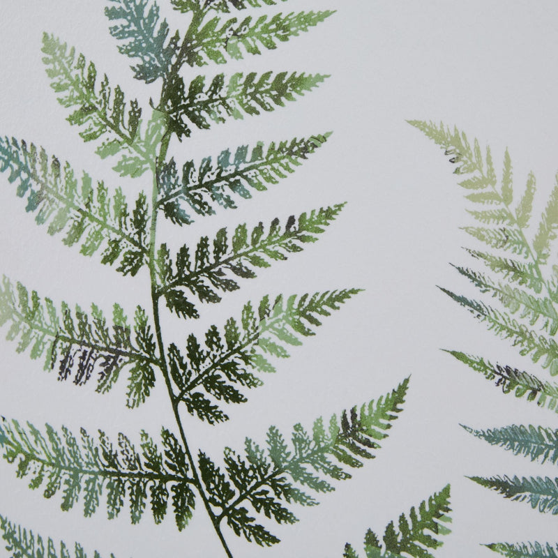 Fern leaf pattern on a neutral background
