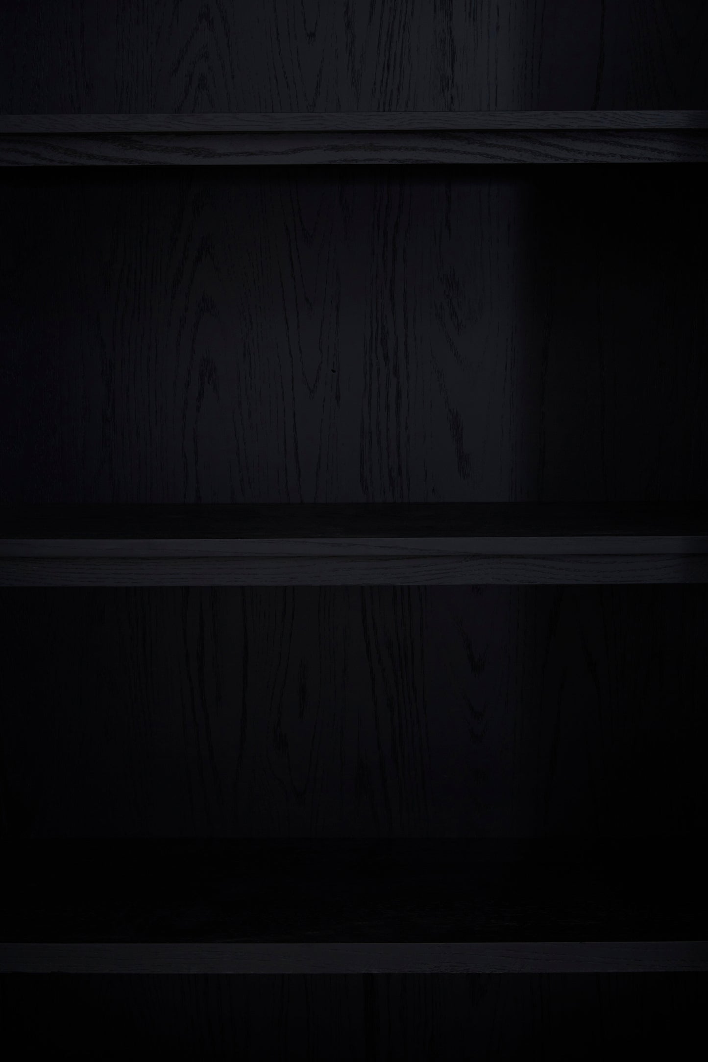 Ardela & Co Selene 2 Door Cabinet