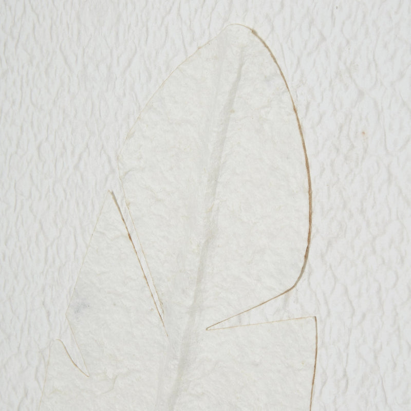 Hill Interiors Large Quill White Feather Art Mounted In Beaded Frame