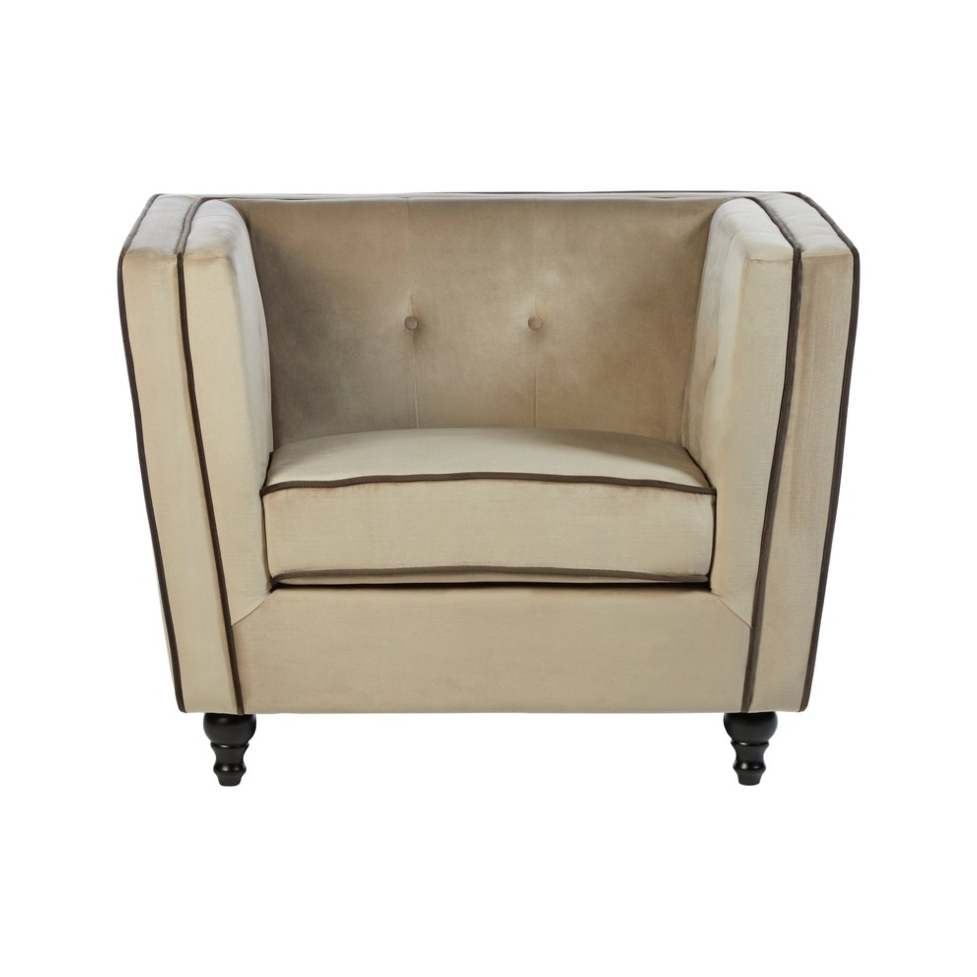 Ardela & Co Fenwick Mink Velvet Chair