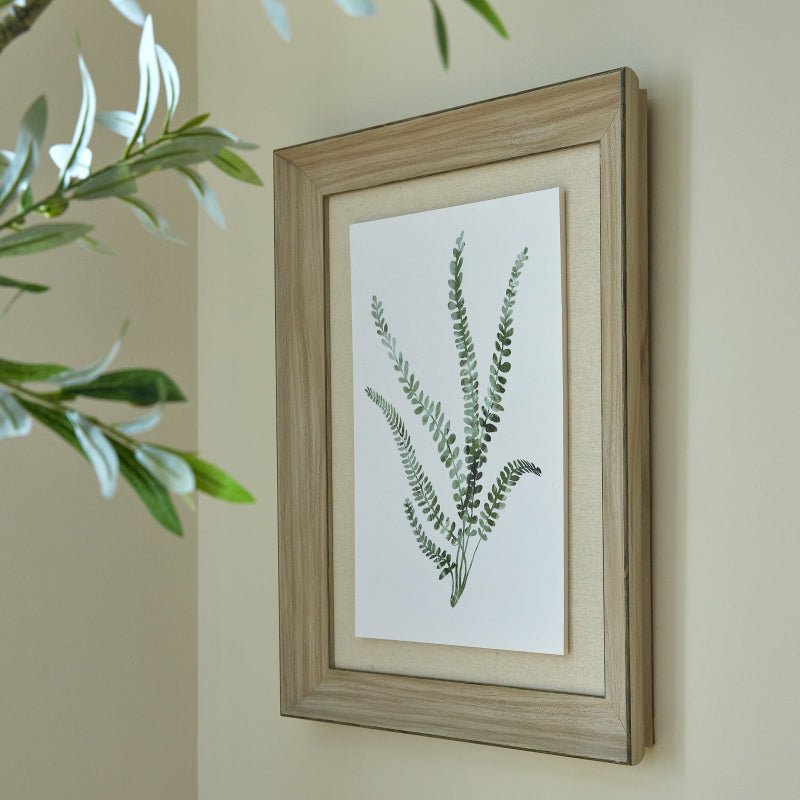 Framed botanical print of ferns on a wall with a plant in the foreground.