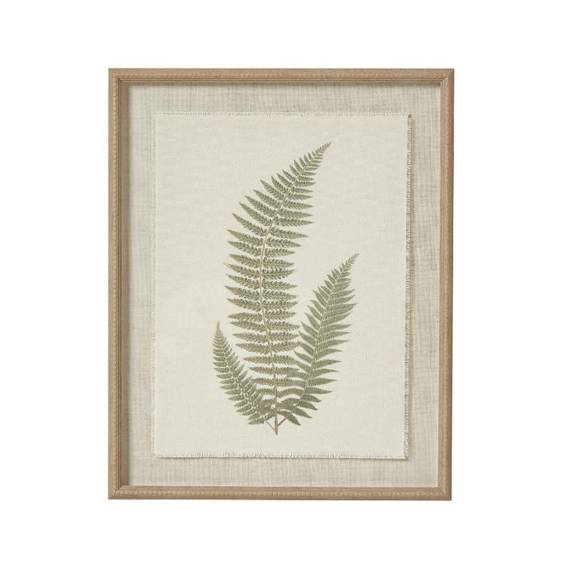 Framed artwork of a fern leaf on a white background
