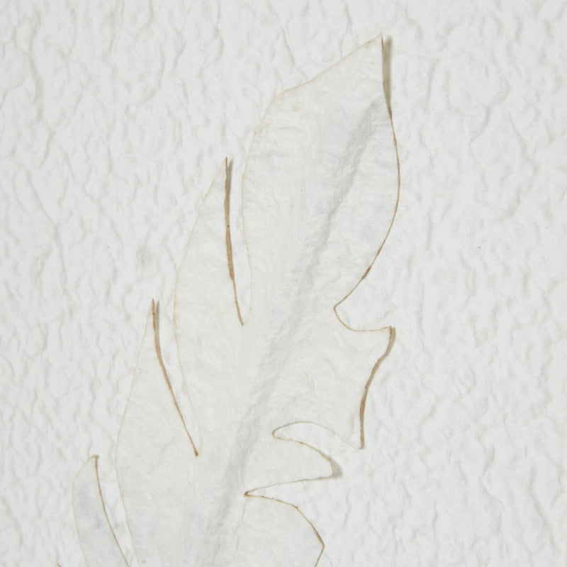 Abstract line art of a face on textured white paper