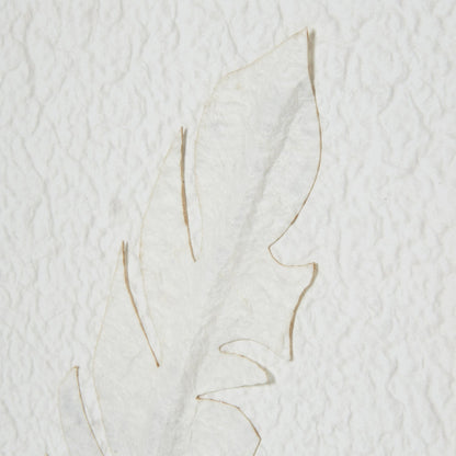 Abstract line art of a face on textured white paper