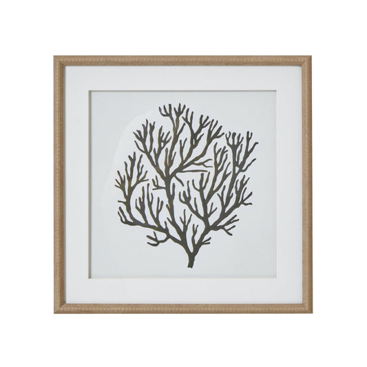 Hill Interiors Atol Coral Art Mounted In Beaded Frame