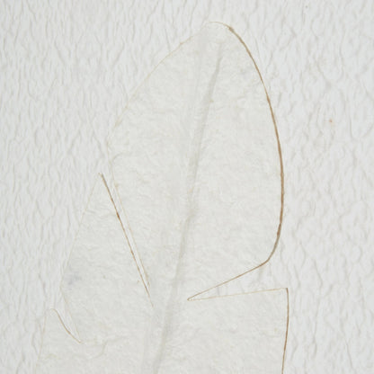 Hill Interiors Large Quill White Feather Art Mounted In Beaded Frame