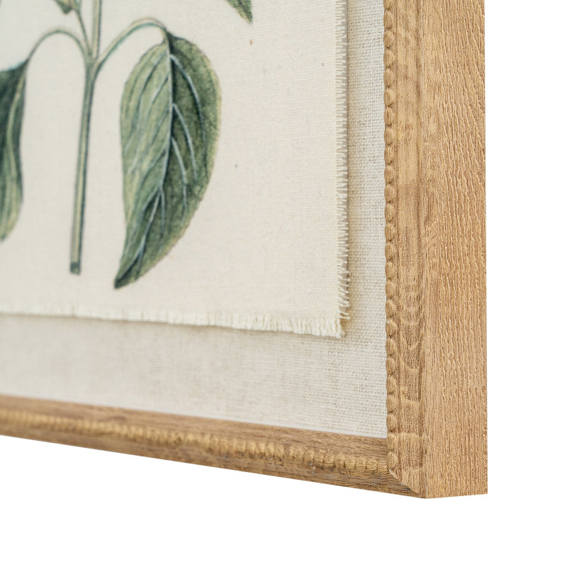 Close-up of a framed botanical print with green leaves and a wooden frame.