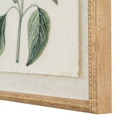 Close-up of a framed botanical print with green leaves and a wooden frame.