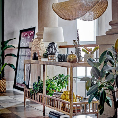 Living room with a wooden console table, decorative items, and plants.