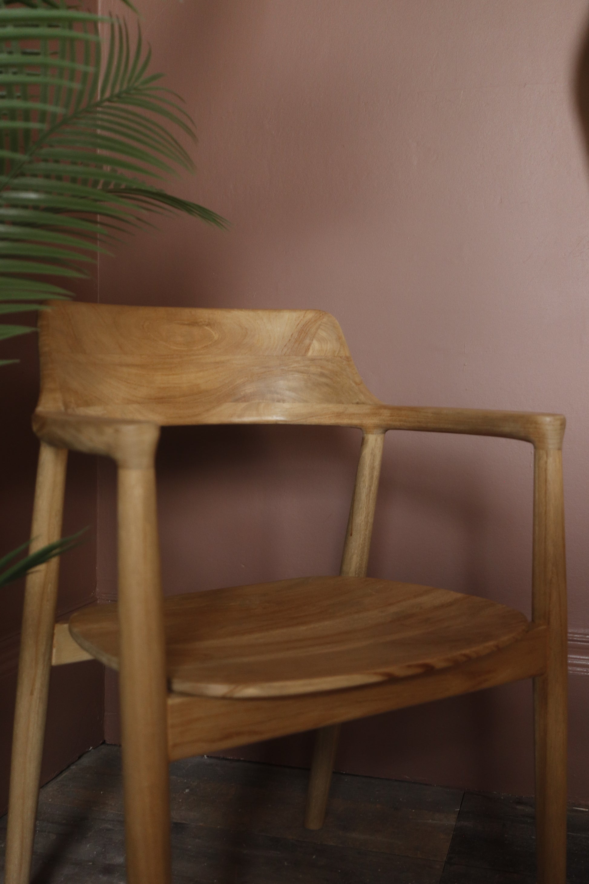 Wooden chair against a pink wall with a plant to the left