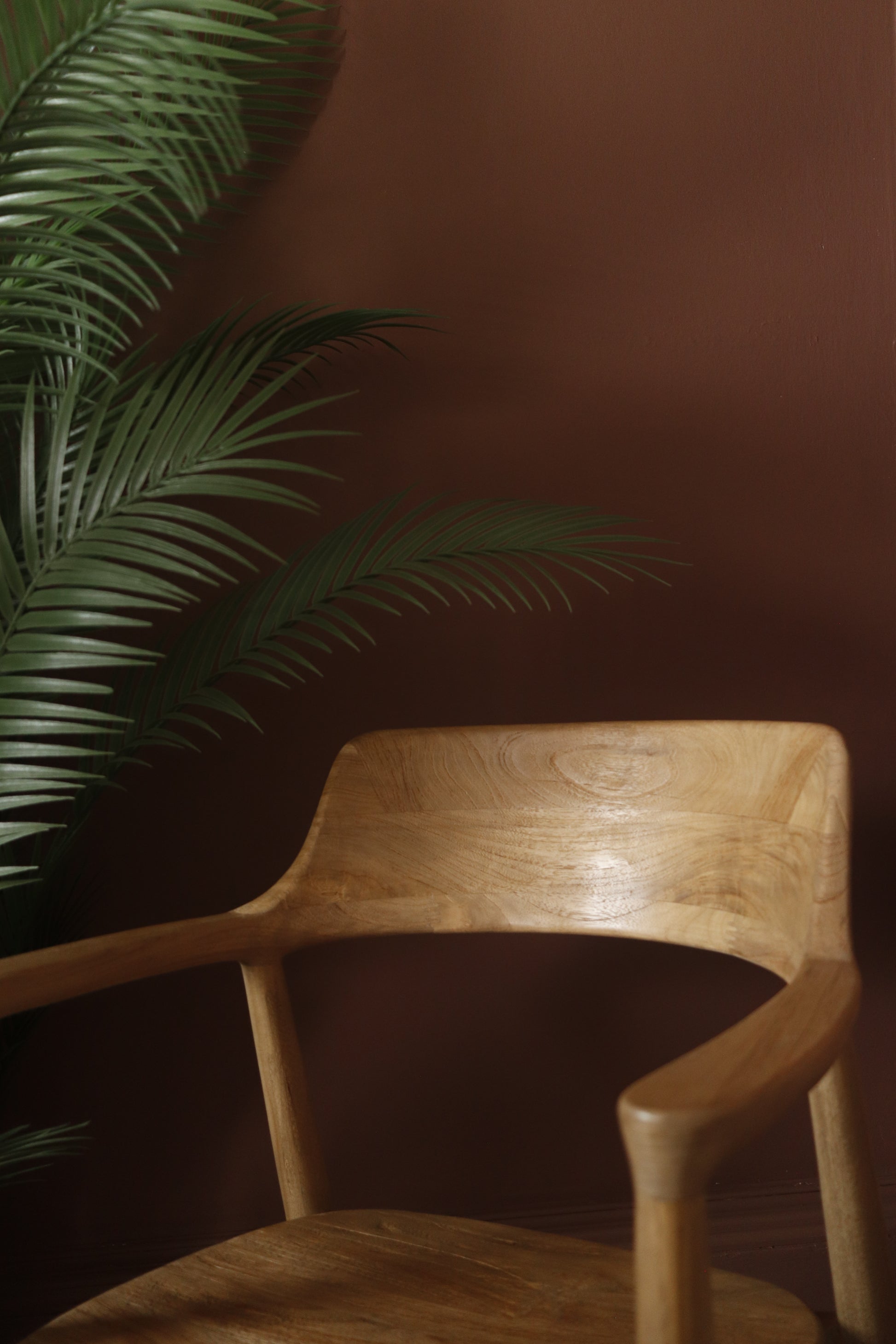 Wooden chair against a dark brown wall with a plant to the left.