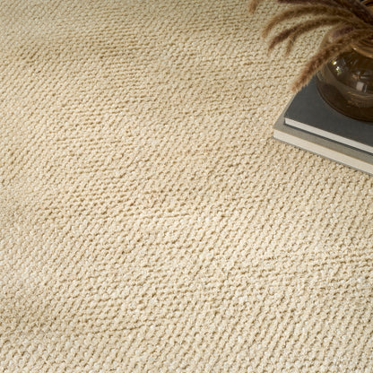 Close-up of a textured beige carpet with a plant and books in the corner.