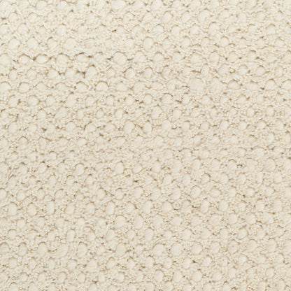 Close-up of a beige carpet texture