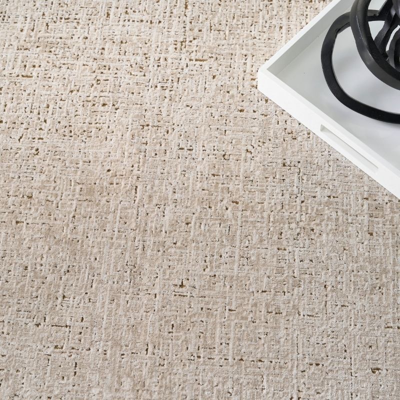 Textured beige carpet with a corner of a white rug and black object in the background