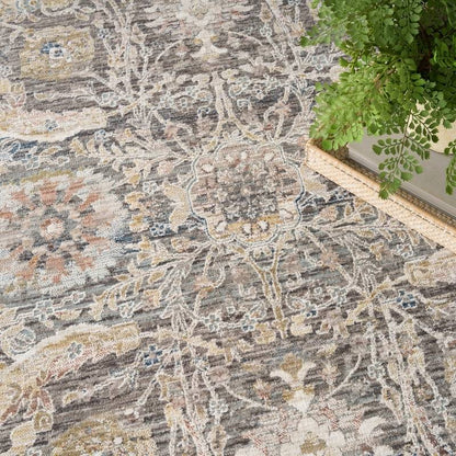 An overhead view of a traditional area rug with an intricate floral and medallion pattern in muted gray, beige, and brown tones, styled with a green potted plant in the top right corner.