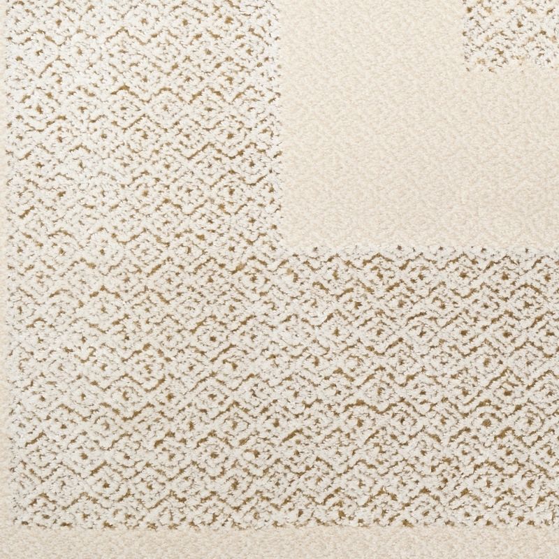 Close-up of a textured beige carpet