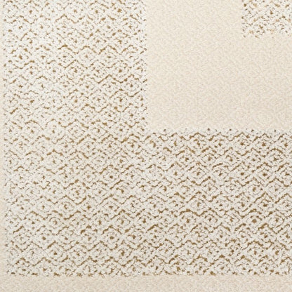 Close-up of a textured beige carpet