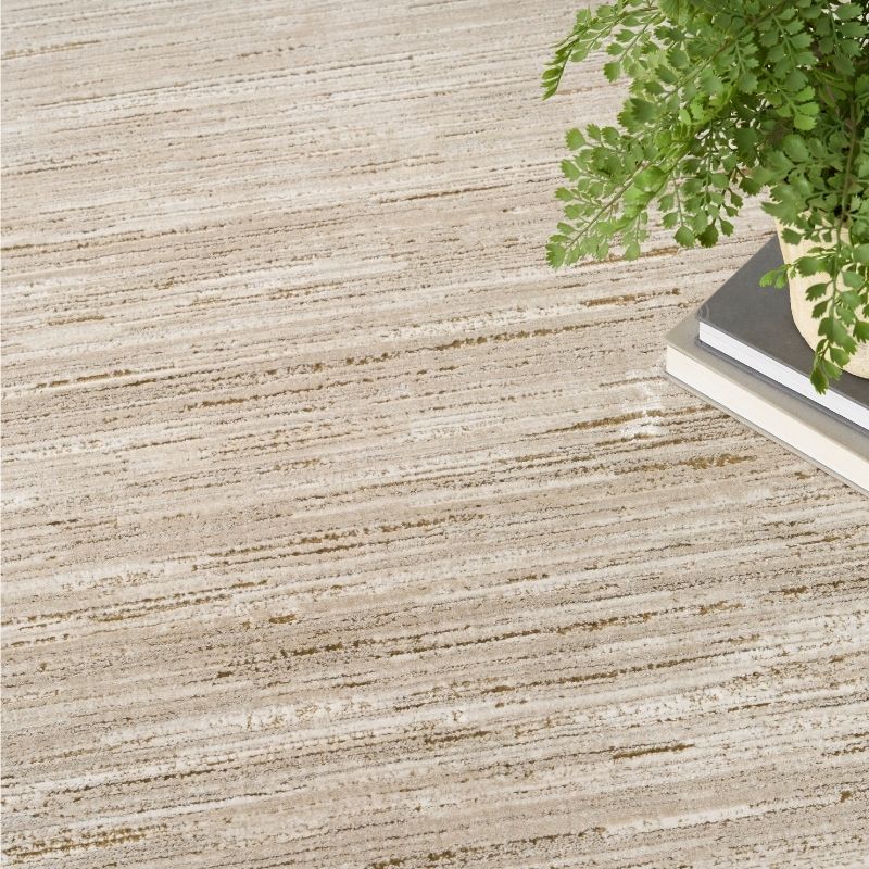 A close-up of a textured area rug with horizontal beige, cream, and light brown striations, styled with a green fern plant in a white pot on a stack of books in the upper right corner.
