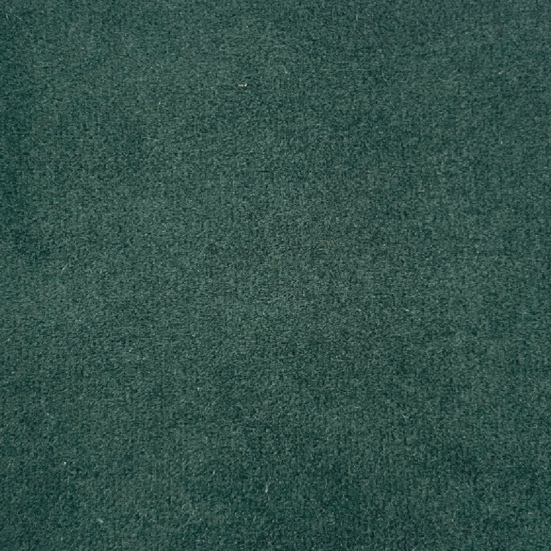 Solid dark green color swatch