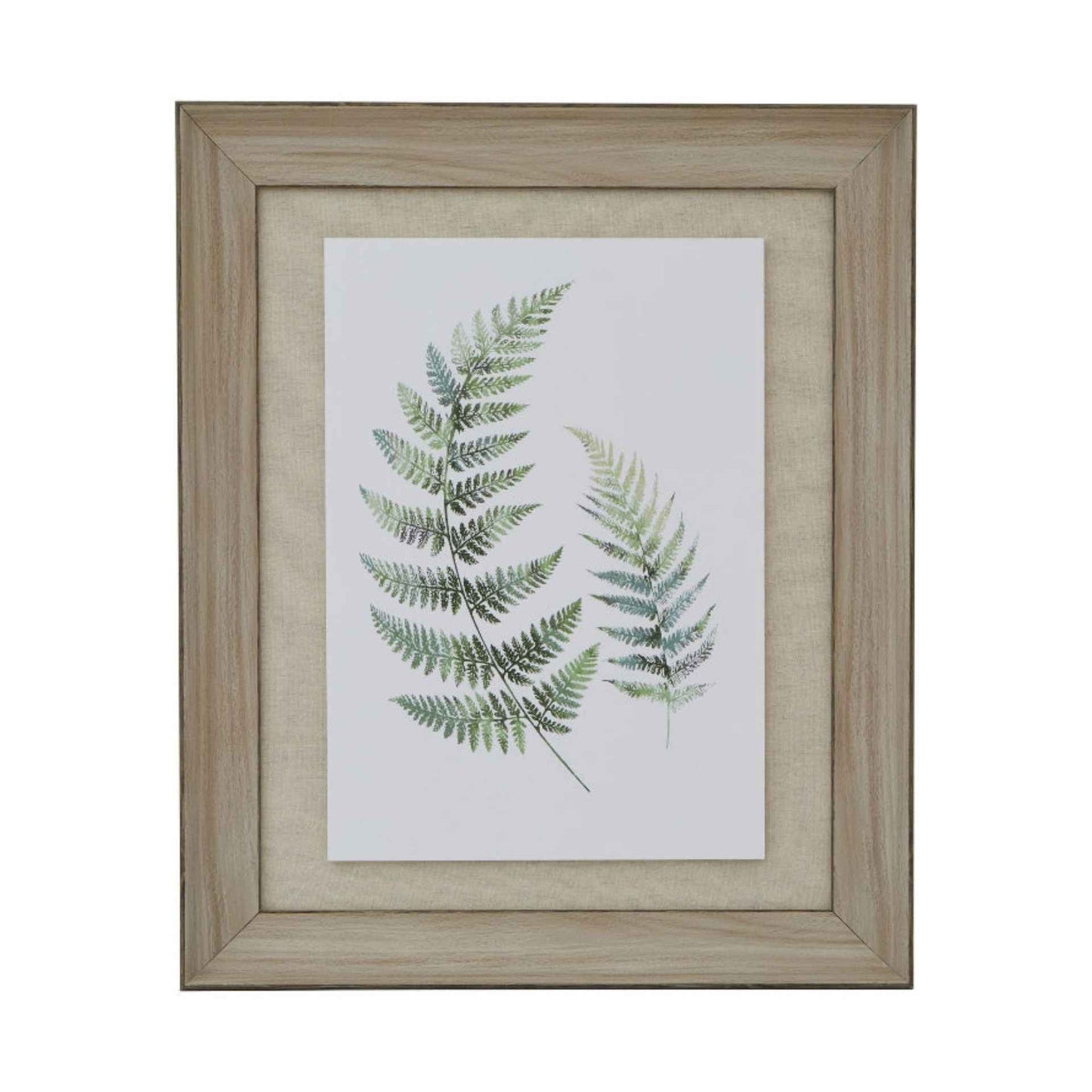 Framed print of green fern leaves on a white background
