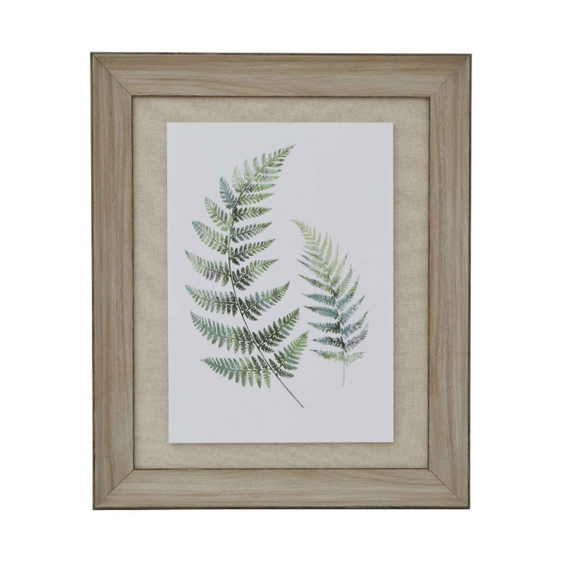 Framed print of green fern leaves on a white background