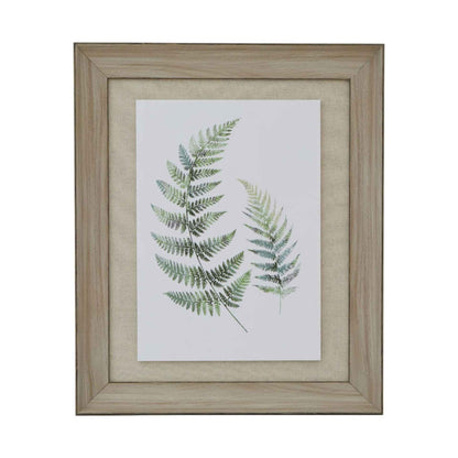 Framed print of green fern leaves on a white background
