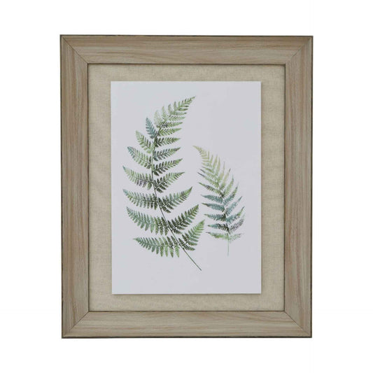 Framed print of green fern leaves on a white background