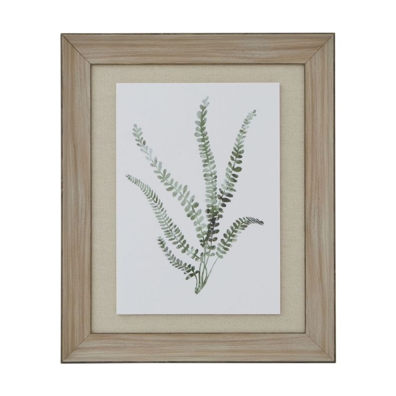 Framed botanical print of a fern on a white background