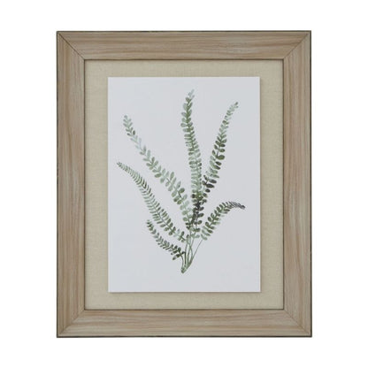 Framed botanical print of a fern on a white background