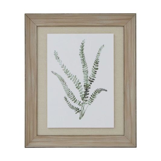 Framed botanical print of a fern on a white background