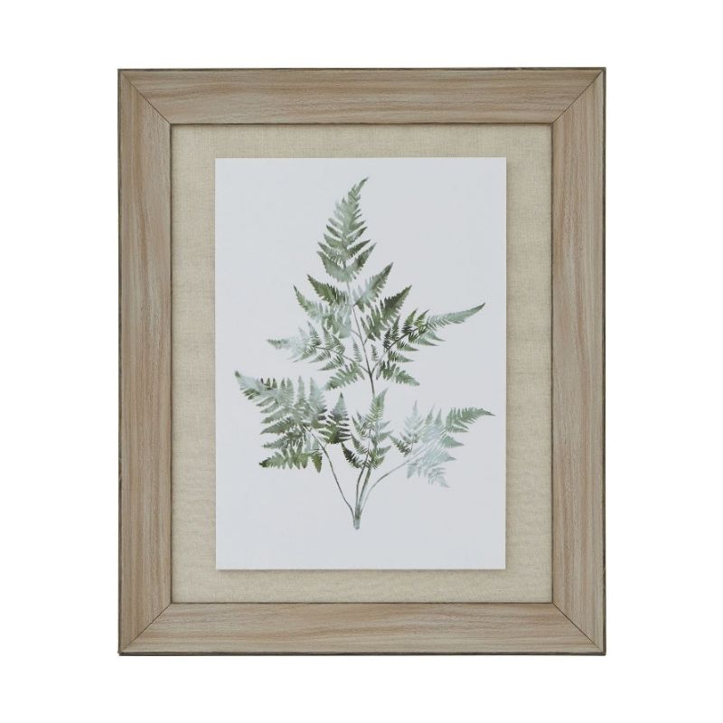 Framed botanical print of ferns on a white background