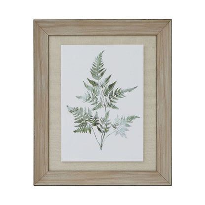 Framed botanical print of ferns on a white background