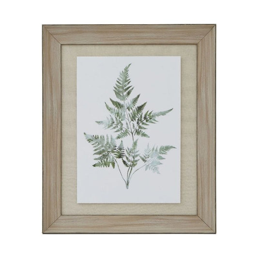 Framed botanical print of ferns on a white background